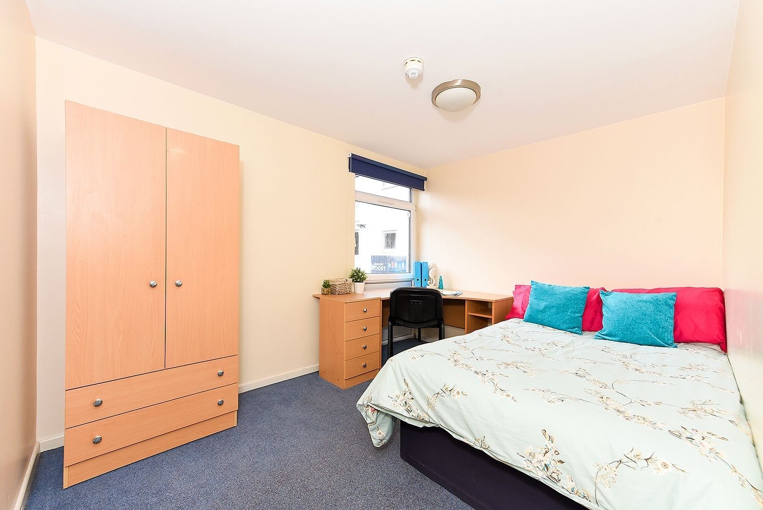 3 Bed Apartment (shared)